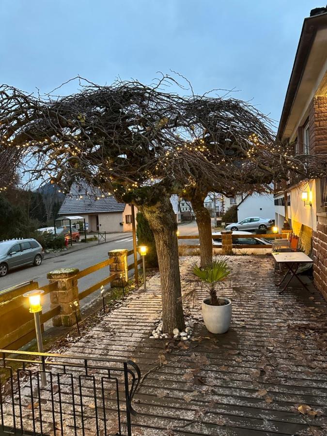 Au Wachtfels Bed & Breakfast Obersteinbach Dış mekan fotoğraf