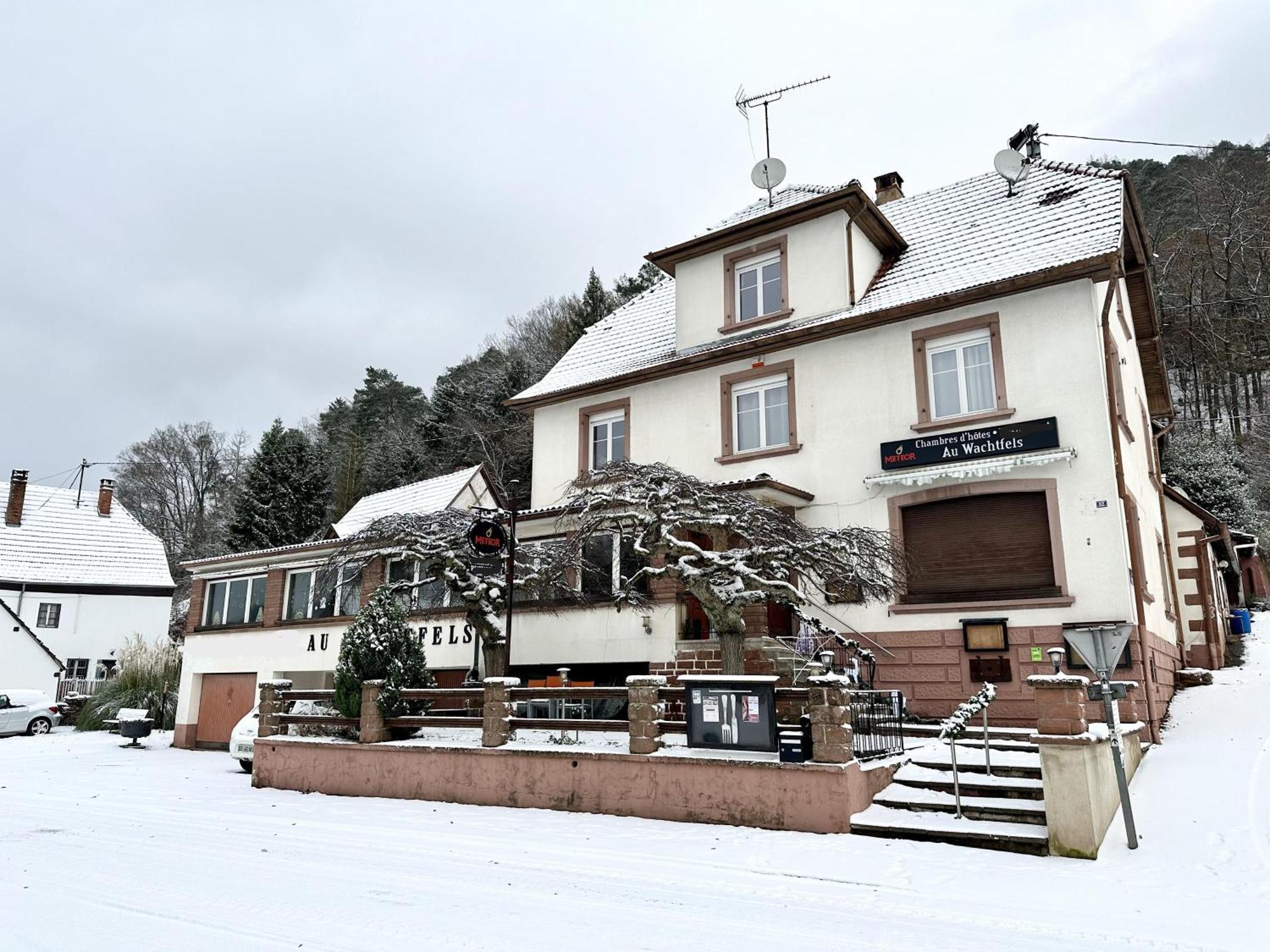 Au Wachtfels Bed & Breakfast Obersteinbach Dış mekan fotoğraf
